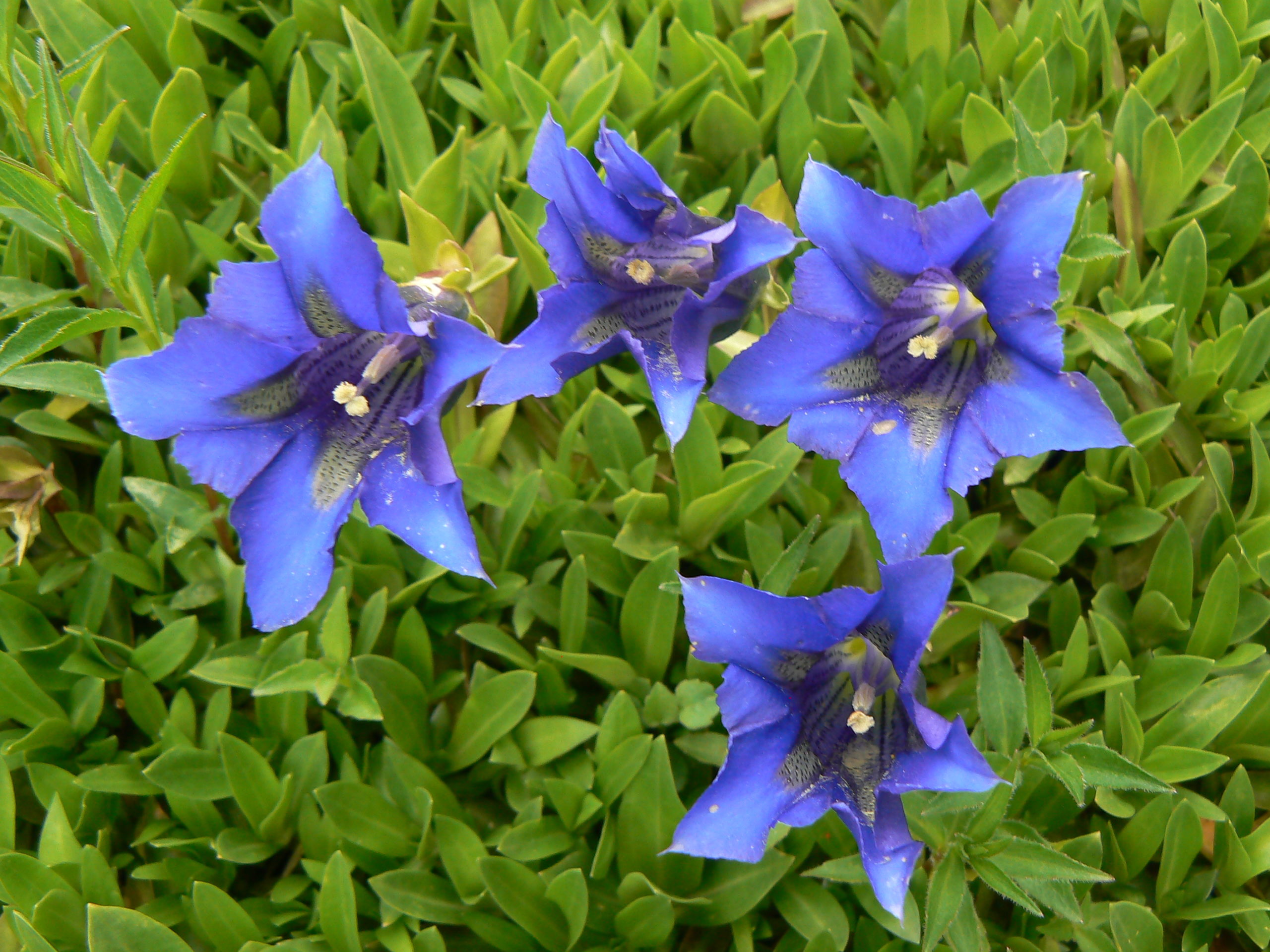 P1110273