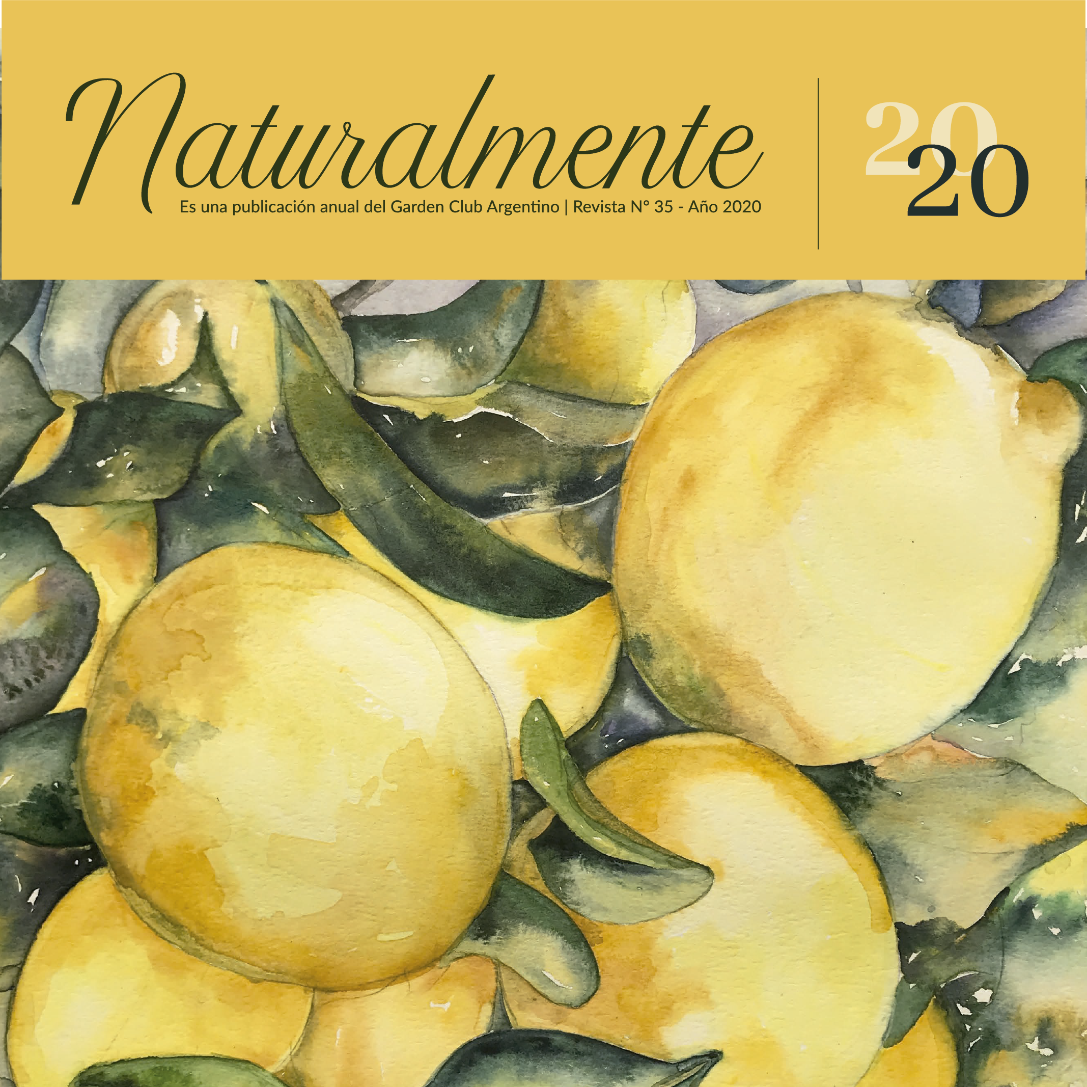 Portada Revista
