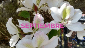 SEPTIEMBRE