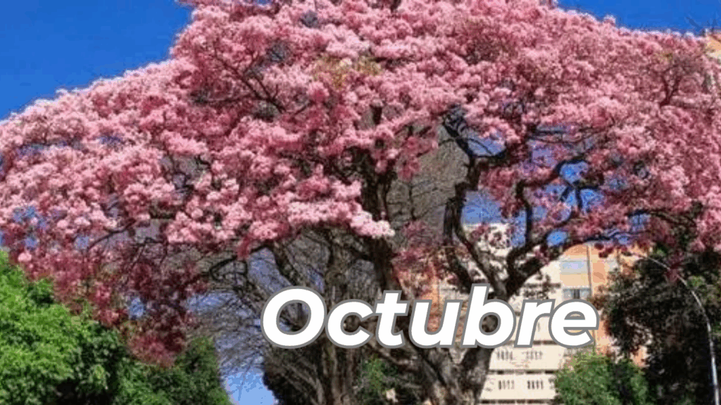 Octubre
