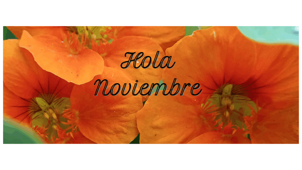 Hola Noviembre