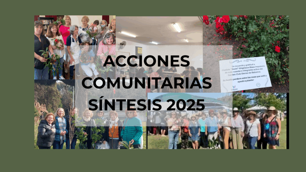 ACCIONES COMUNITARIAS SINTESIS 2025