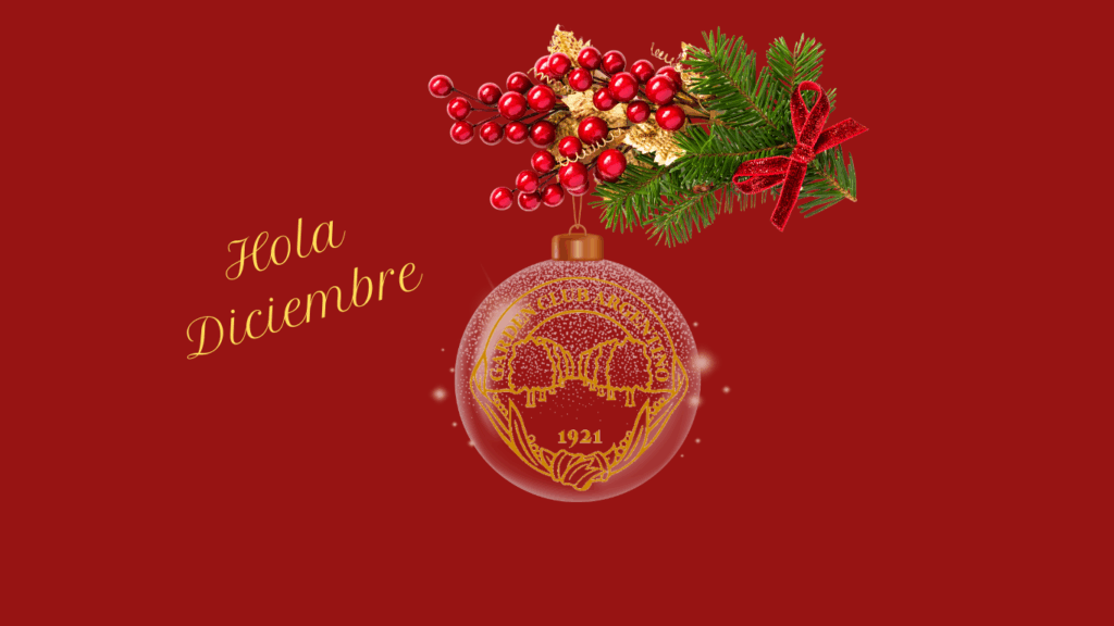 Hola Diciembre (Sitio web)