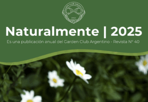 Captura de pantalla 2026-01-06 a la(s) 09.20.36