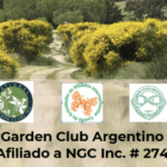 Captura de pantalla 2026-03-27 a la(s) 08.09.21