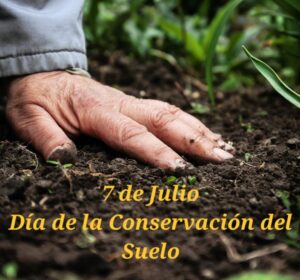 IMAGEN TAPA