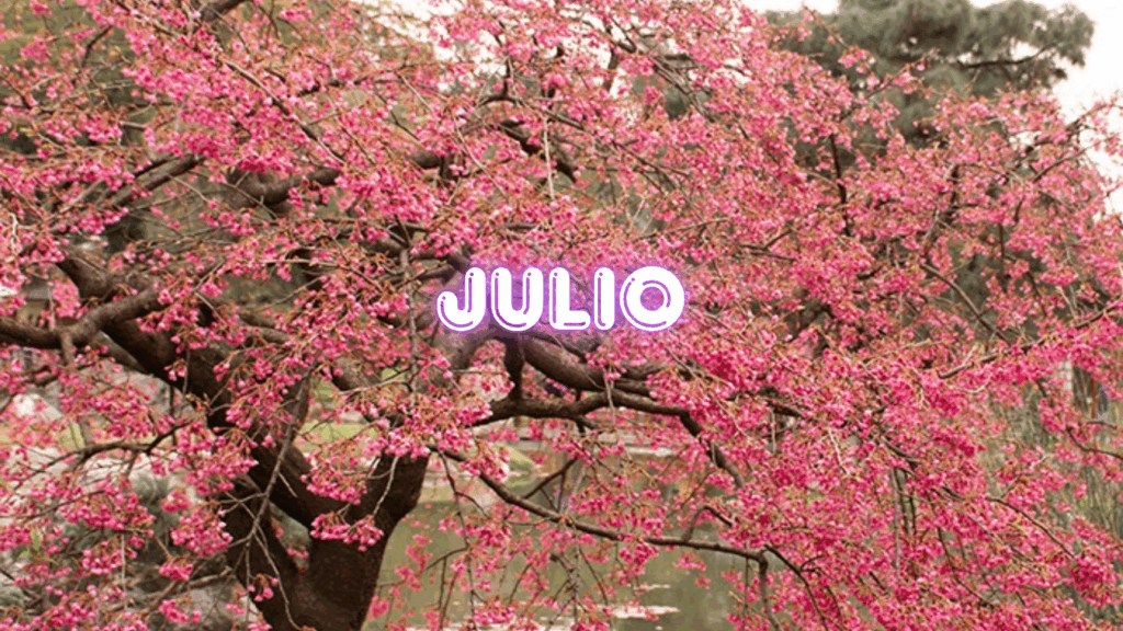 JULIO