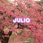 JULIO
