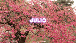 JULIO