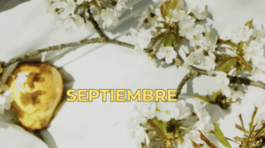 Captura de pantalla 2026-09-10 a las 8.34.01